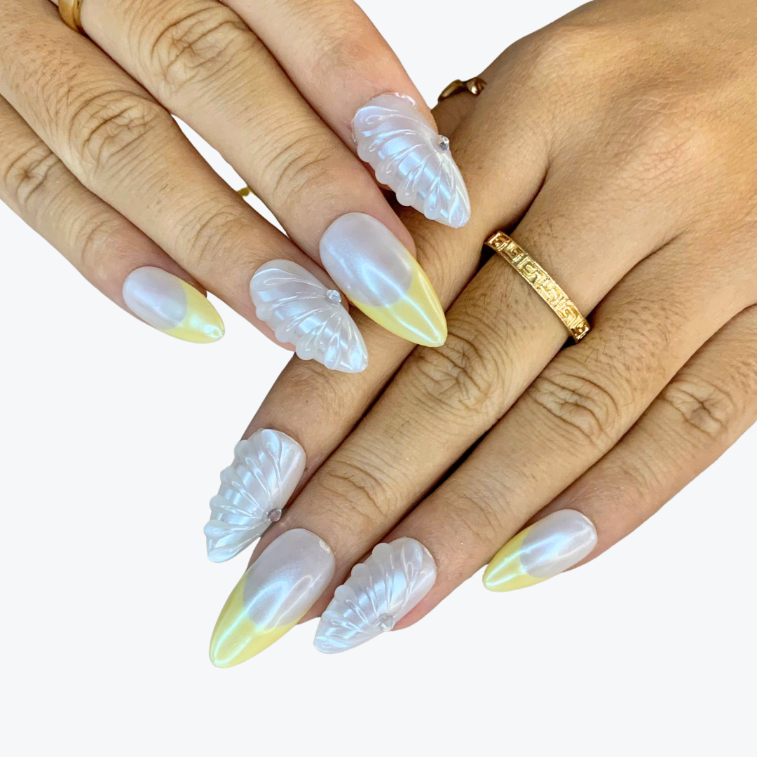 Shell Grace