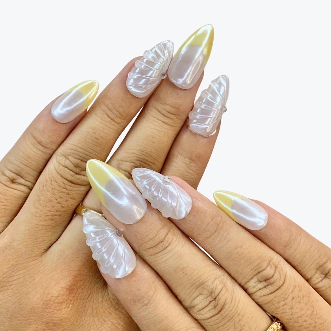 Shell Grace